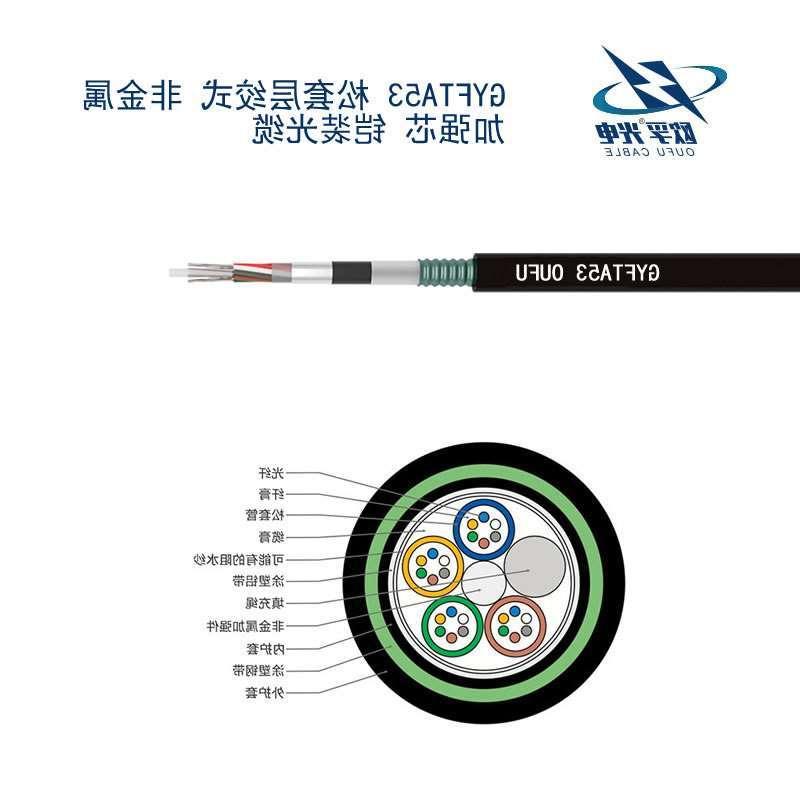 鞍山市GYFTA53光缆